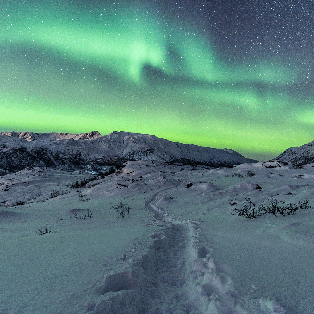 Iceland Incentive Trip